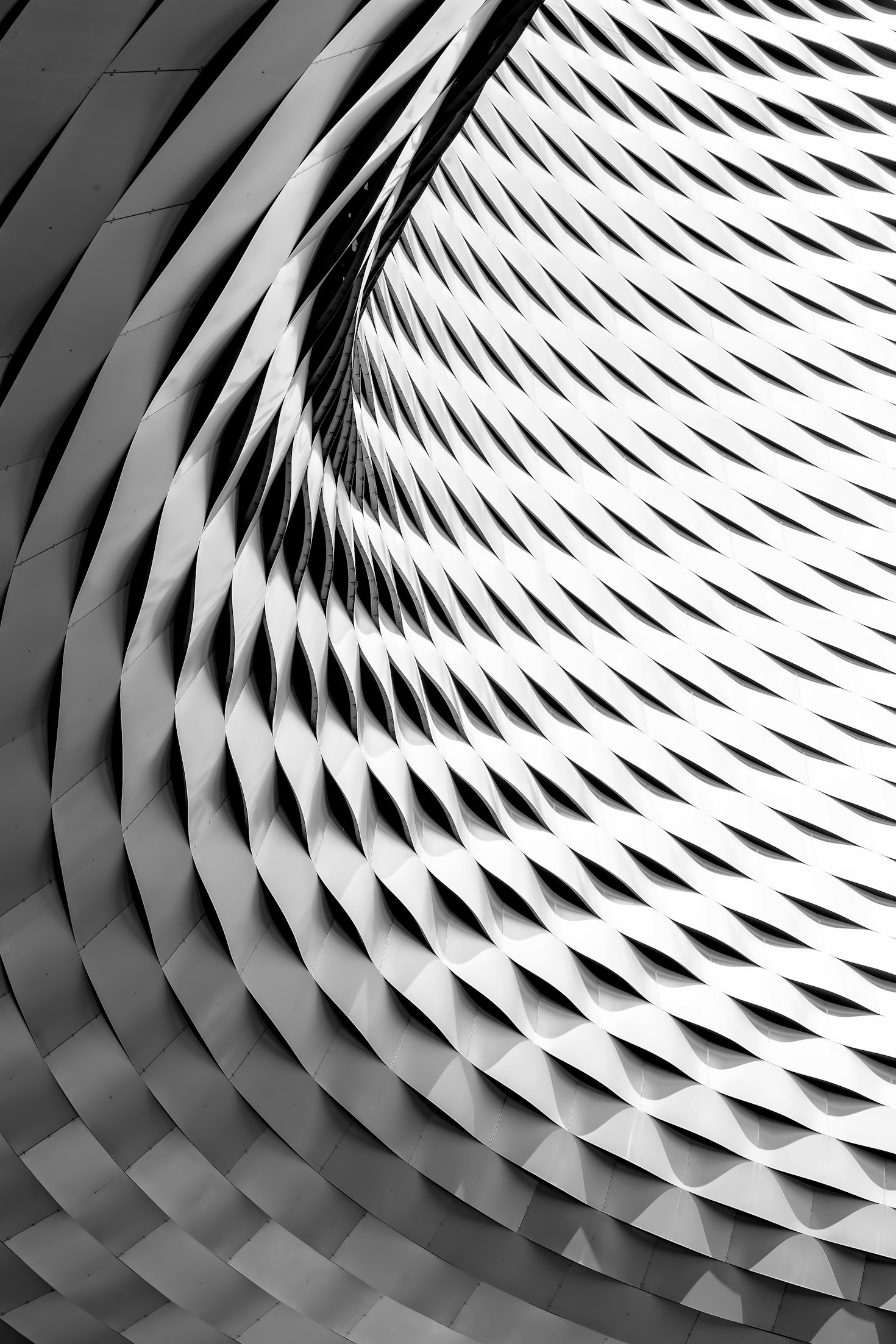 The Role of Curiosity in Personal Growth